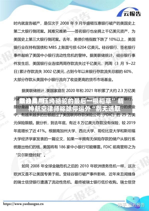 燃油费用飙升成“压垮骆驼的最后一根稻草” 精神航空律师称除停运外“别无选取	”-第3张图片