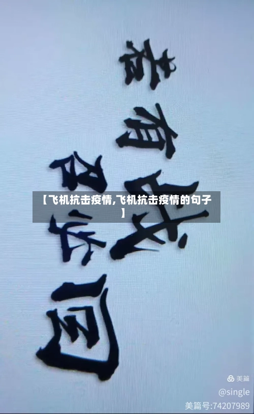 【飞机抗击疫情,飞机抗击疫情的句子】-第1张图片