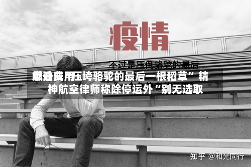 燃油费用飙升成“压垮骆驼的最后一根稻草	” 精神航空律师称除停运外“别无选取”-第1张图片