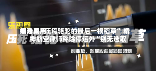 燃油费用飙升成“压垮骆驼的最后一根稻草” 精神航空律师称除停运外“别无选取”-第2张图片