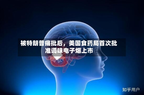 被特朗普痛批后，美国食药局首次批准调味电子烟上市-第2张图片