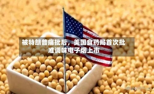 被特朗普痛批后，美国食药局首次批准调味电子烟上市-第3张图片
