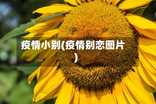 疫情小别(疫情别恋图片)-第1张图片