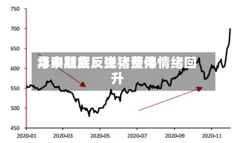 华泰期货：生猪费用月中触底反弹	，整体情绪回升-第2张图片