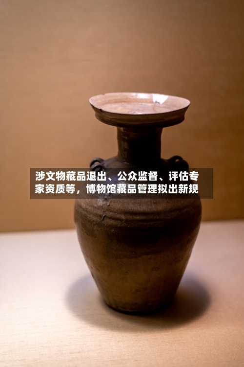 涉文物藏品退出、公众监督、评估专家资质等，博物馆藏品管理拟出新规-第1张图片
