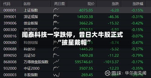 闻泰科技一字跌停，昔日大牛股正式“披星戴帽”-第2张图片