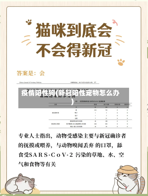 疫情阳性狗(新冠阳性宠物怎么办)-第2张图片