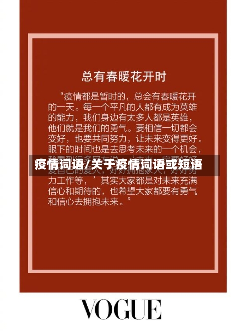 疫情词语/关于疫情词语或短语-第1张图片
