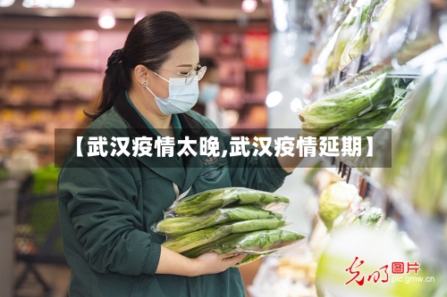 【武汉疫情太晚,武汉疫情延期】-第1张图片