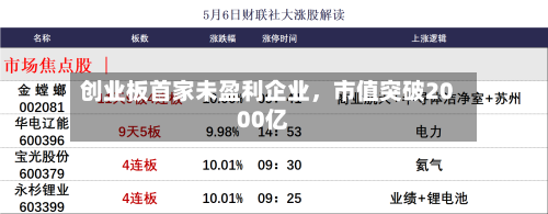 创业板首家未盈利企业，市值突破2000亿-第2张图片