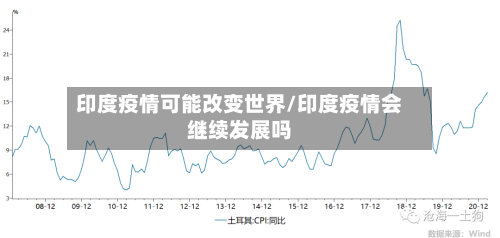 印度疫情可能改变世界/印度疫情会继续发展吗-第3张图片