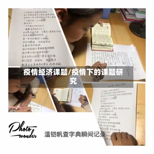 疫情经济课题/疫情下的课题研究-第1张图片