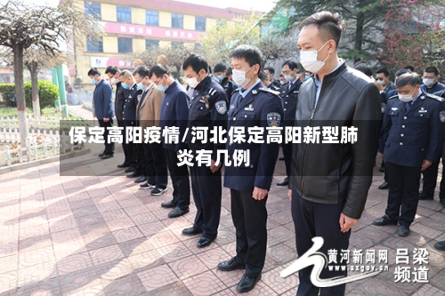 保定高阳疫情/河北保定高阳新型肺炎有几例-第1张图片