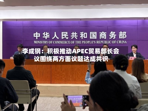 李成钢：积极推动APEC贸易部长会议围绕两方面议题达成共识-第2张图片