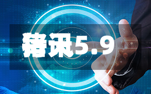 每天猪讯5.9-第2张图片