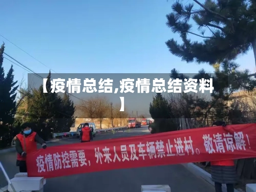【疫情总结,疫情总结资料】-第1张图片