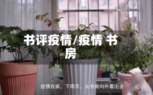 书评疫情/疫情 书房-第3张图片