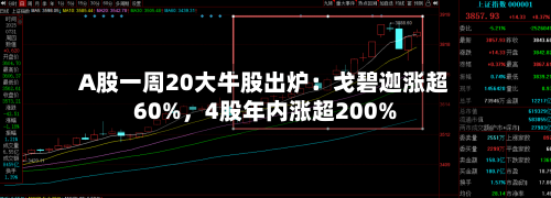 A股一周20大牛股出炉：戈碧迦涨超60%，4股年内涨超200%-第3张图片