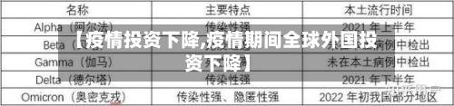 【疫情投资下降,疫情期间全球外国投资下降】-第1张图片