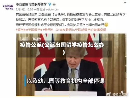 疫情公派(公派出国留学疫情怎么办)-第1张图片