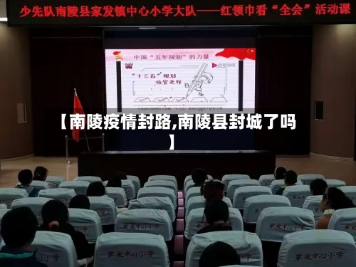 【南陵疫情封路,南陵县封城了吗】-第2张图片