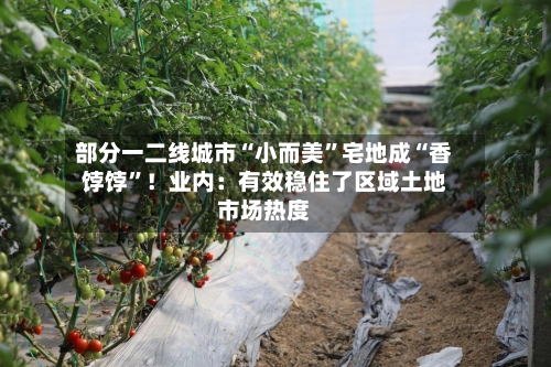 部分一二线城市“小而美	”宅地成“香饽饽”！业内：有效稳住了区域土地市场热度-第1张图片