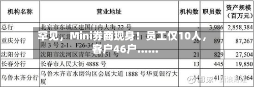 罕见，Mini券商现身！员工仅10人	，客户46户......-第1张图片