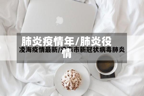 肺炎疫情年/肺炎役情-第2张图片
