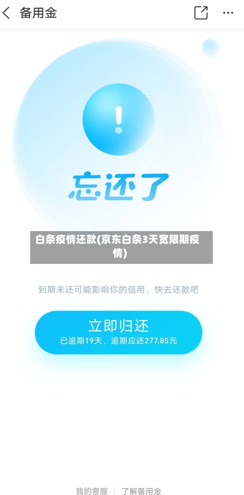 白条疫情还款(京东白条3天宽限期疫情)-第3张图片