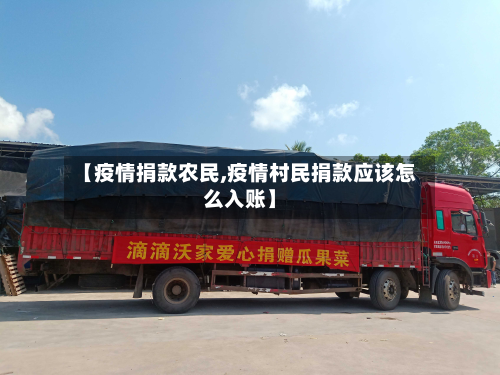 【疫情捐款农民,疫情村民捐款应该怎么入账】-第2张图片