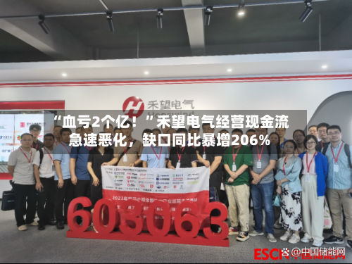 “血亏2个亿！”禾望电气经营现金流急速恶化，缺口同比暴增206%-第2张图片