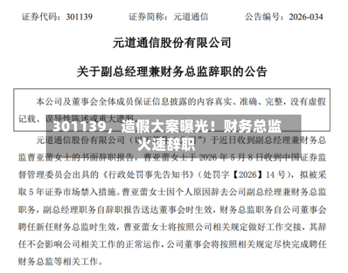 301139，造假大案曝光！财务总监火速辞职-第1张图片