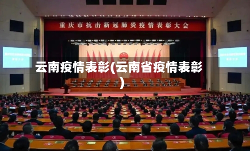 云南疫情表彰(云南省疫情表彰)-第1张图片