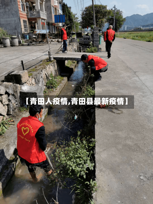 【青田人疫情,青田县最新疫情】-第3张图片