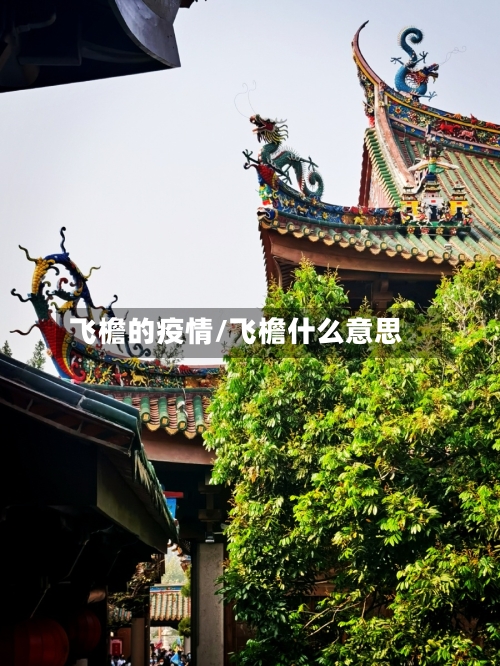 飞檐的疫情/飞檐什么意思-第2张图片