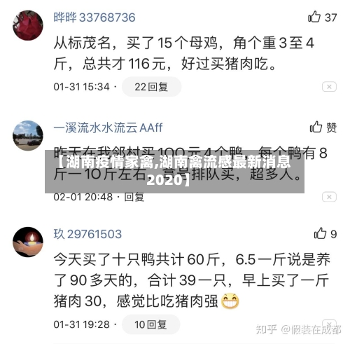 【湖南疫情家禽,湖南禽流感最新消息2020】-第3张图片