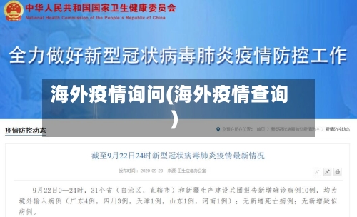 海外疫情询问(海外疫情查询)-第2张图片