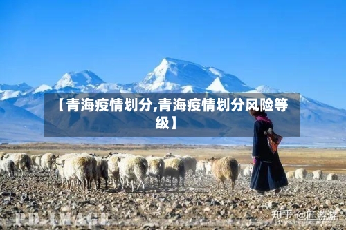 【青海疫情划分,青海疫情划分风险等级】-第3张图片