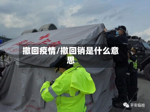 撤回疫情/撤回销是什么意思-第1张图片