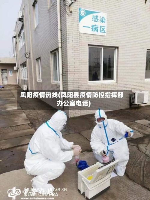 凤阳疫情热线(凤阳县疫情防控指挥部办公室电话)-第1张图片
