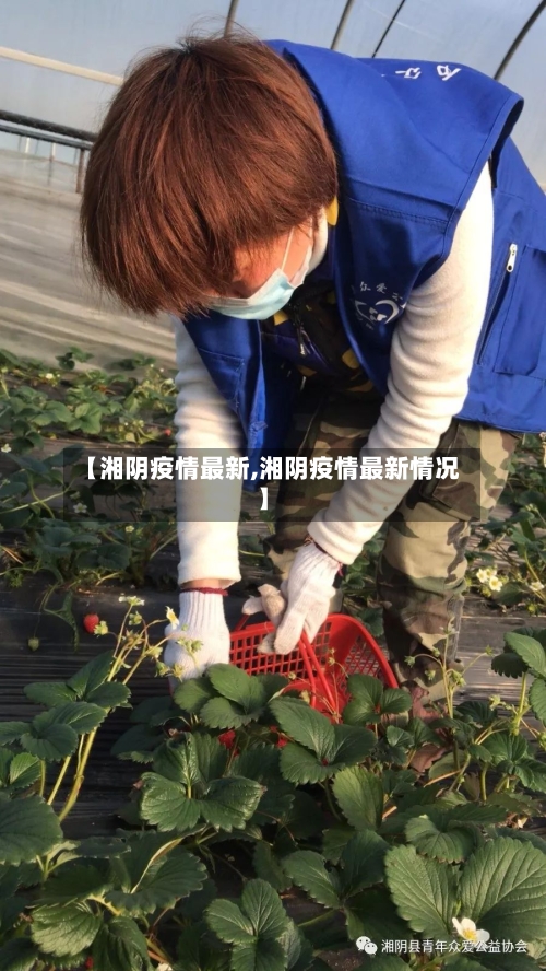 【湘阴疫情最新,湘阴疫情最新情况】-第2张图片