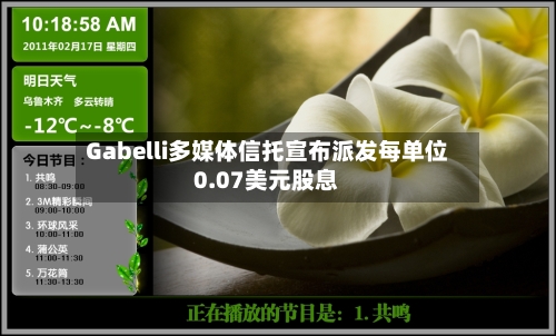 Gabelli多媒体信托宣布派发每单位0.07美元股息-第1张图片