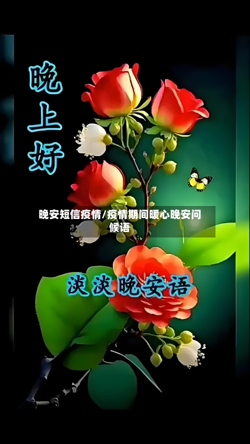 晚安短信疫情/疫情期间暖心晚安问候语-第2张图片