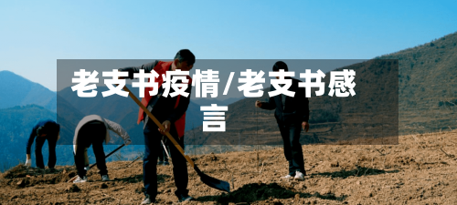 老支书疫情/老支书感言-第2张图片