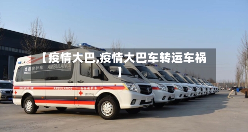【疫情大巴,疫情大巴车转运车祸】-第2张图片