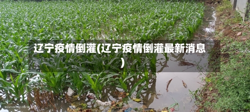 辽宁疫情倒灌(辽宁疫情倒灌最新消息)-第3张图片
