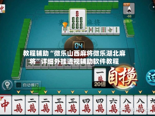 教程辅助“微乐山西麻将微乐湖北麻将”详细外挂透视辅助软件教程-第2张图片