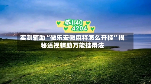 实测辅助“微乐安徽麻将怎么开挂	”揭秘透视辅助万能挂用法-第1张图片