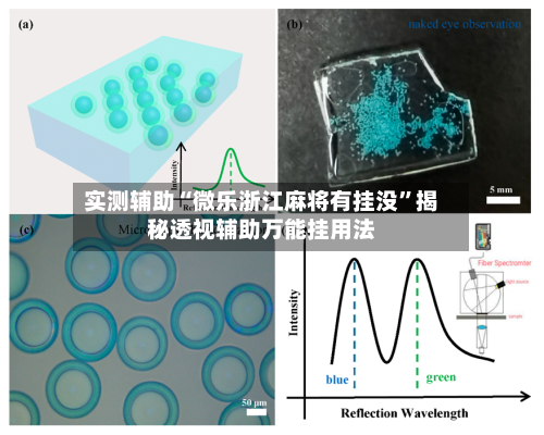 实测辅助“微乐浙江麻将有挂没”揭秘透视辅助万能挂用法-第1张图片