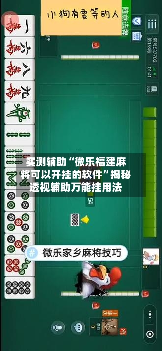 实测辅助“微乐福建麻将可以开挂的软件	”揭秘透视辅助万能挂用法-第1张图片